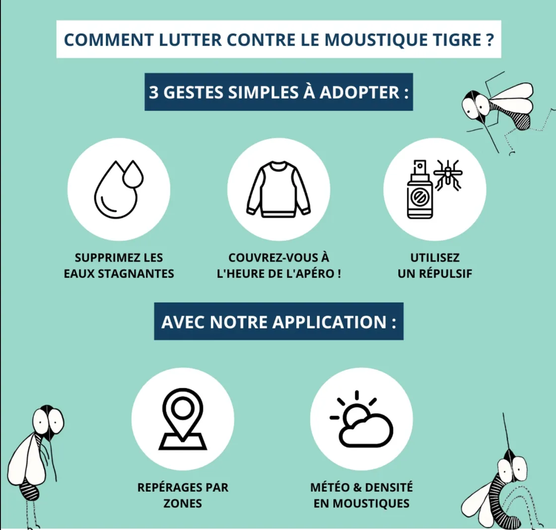 Comment lutter contre le moustique tigre